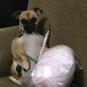 Meet your Posher, Carly